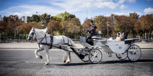 Романтическая прогулка на карете в Париже