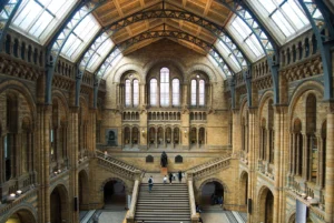 Интерьер Музея естественной истории в Лондоне