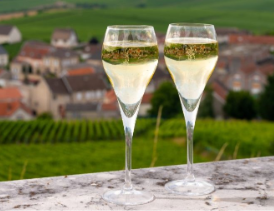 Visit of a Small Champagne Producer, “Premier Cru”, Champagne travel itinerary