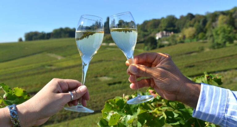 Побалуйте себя роскошью: 1-дневный туристический маршрут по Шампани с дегустацией вин