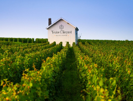 Visit of Champagne Veuve Clicquot