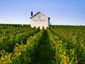 Посещение шампанского Veuve Clicquot