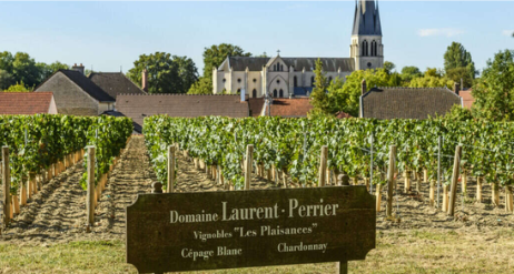 Champagne Laurent-Perrier Private Tour, Maison and  Vineyards