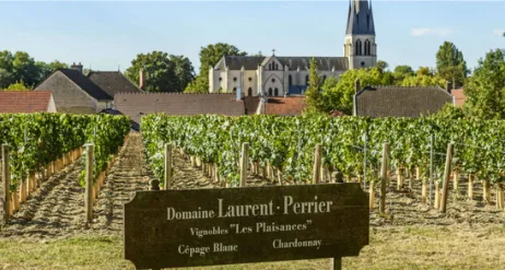 Champagne Laurent-Perrier Private Tour, Maison and Vineyards