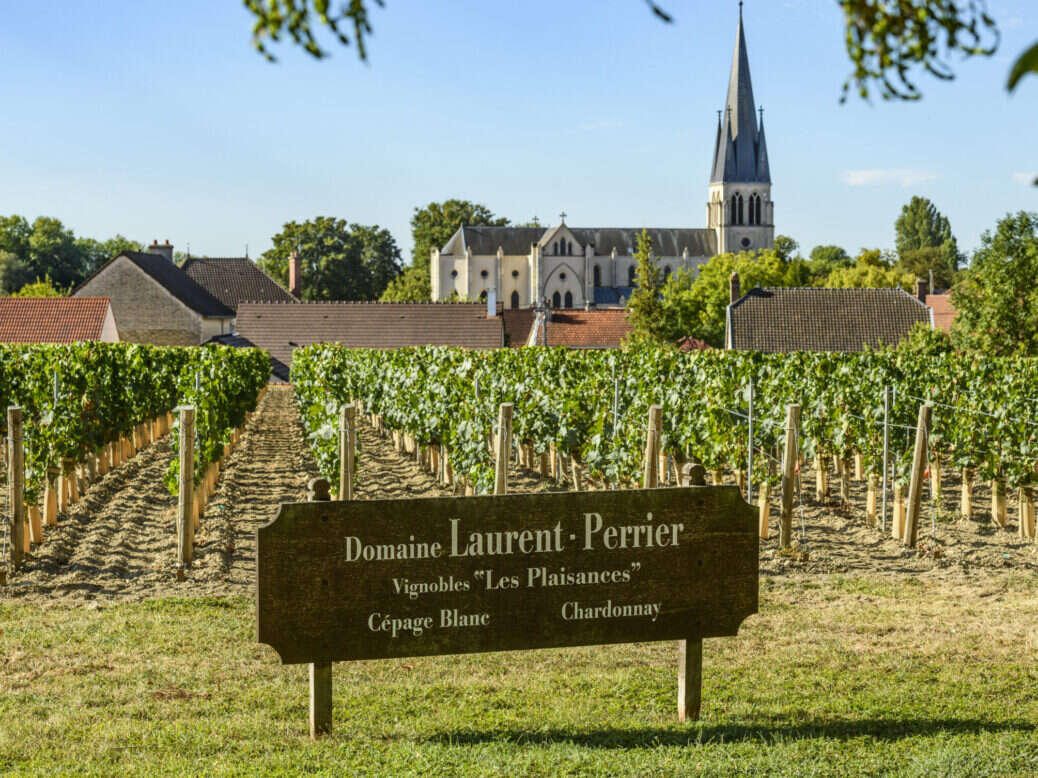 Виноградники шампанского Laurent-Perrier, Частный тур по шампанскому Laurent-Perrier: Путешествие через элегантность и инновации