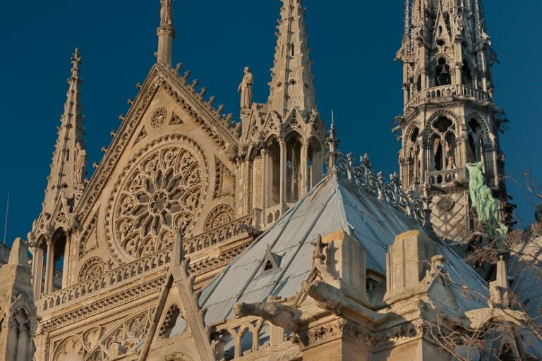 Notre-Dame Cathedral in Paris Reopens