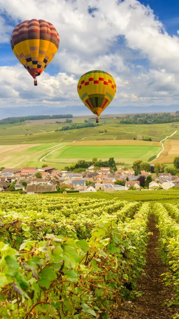 Воздушные шары пролетают над виноградниками шампанского на закате, Монтань-де-Реймс, Франция