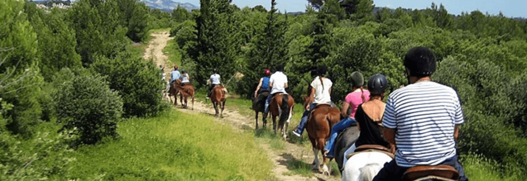 Horseback Ride Through Les Alpilles, Provence